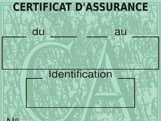 découvrez l'assurance adaptée aux mineurs avec amv. protégez vos enfants grâce à des garanties sur mesure, des tarifs compétitifs et un service client à l'écoute. assurez l'avenir de vos petits en toute sérénité !